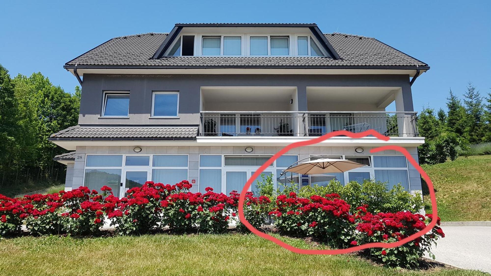 Apartmani Sanja 크레핀스키타플리스 객실 사진