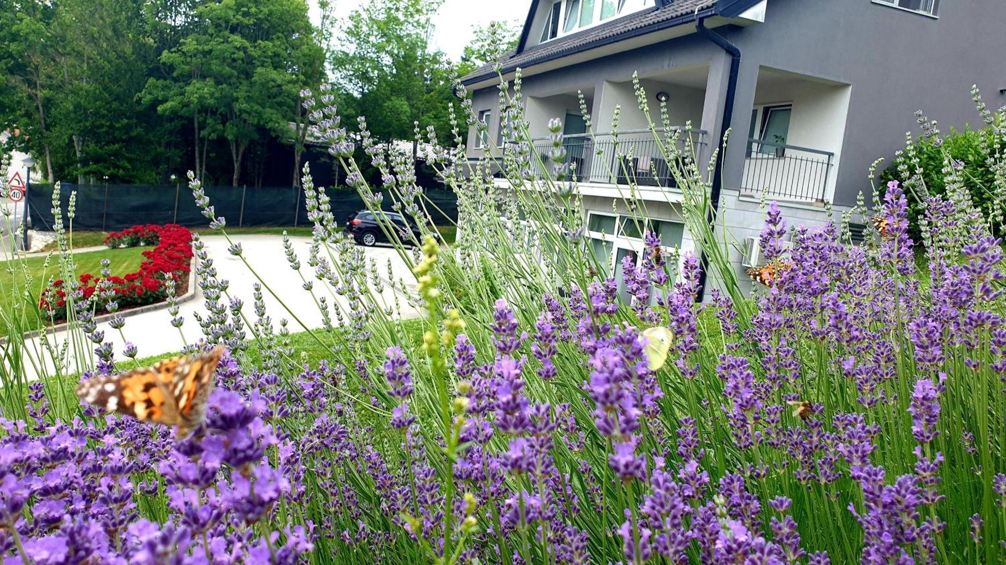 Apartmani Sanja 크레핀스키타플리스 외부 사진