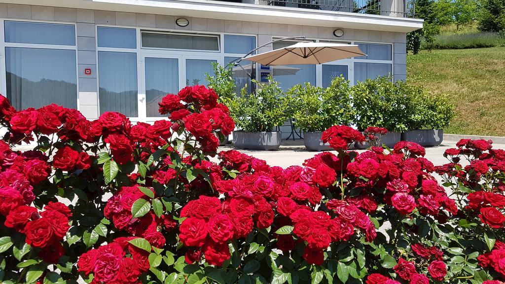 Apartmani Sanja 크레핀스키타플리스 외부 사진